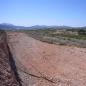 Pinoso property: Land for sale in Pinoso 99699