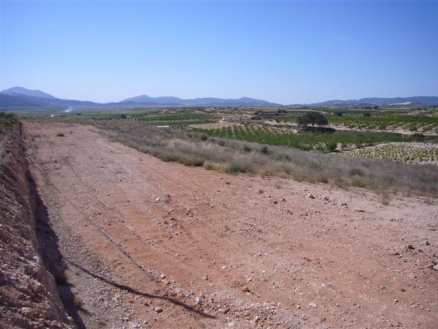 Pinoso property: Land for sale in Pinoso 99699