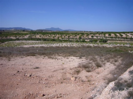 Pinoso property: Land for sale in Pinoso, Spain 99699