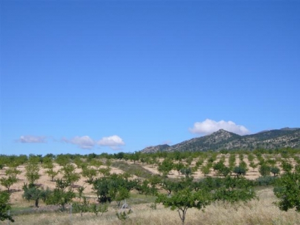 Pinoso property: Land in Alicante for sale 99699