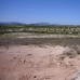 Pinoso property: Pinoso, Spain Land 99699