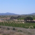 Pinoso property: bedroom Land in Pinoso, Spain 99699