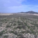 Jumilla property: Land for sale in Jumilla 99713