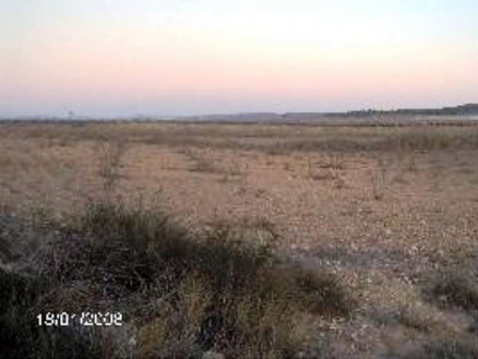 Jumilla property: Land for sale in Jumilla 99714