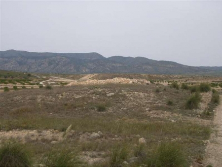 Pinoso property: Land with bedroom in Pinoso 99717