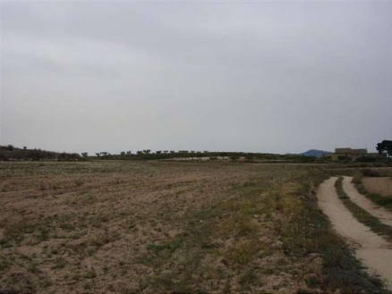 Pinoso property: Land for sale in Pinoso, Alicante 99717