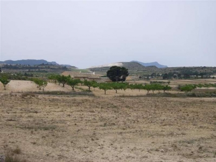 Pinoso property: Alicante property | bedroom Land 99717