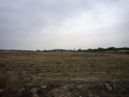 Pinoso property: Pinoso, Spain | Land for sale 99717