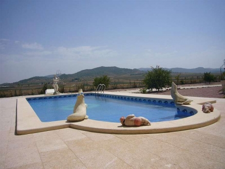 Pinoso property: Villa for sale in Pinoso 99742