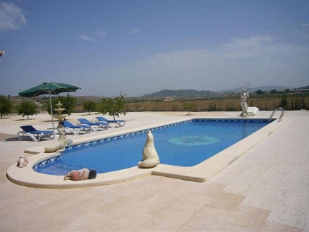 Pinoso property: Villa for sale in Pinoso, Spain 99742