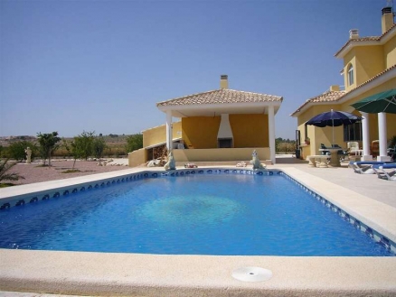 Pinoso property: Villa for sale in Pinoso, Alicante 99742