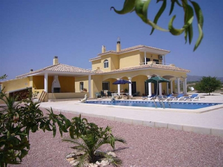 Pinoso property: Pinoso, Spain | Villa for sale 99742