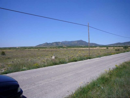 Pinoso property: Land for sale in Pinoso 99747