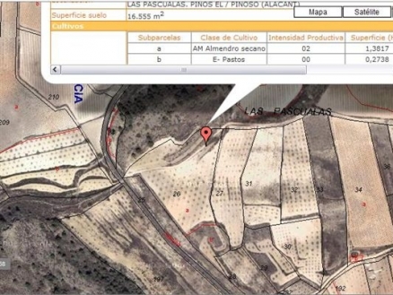 Pinoso property: Land for sale in Pinoso 99748