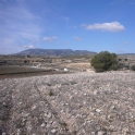 Pinoso property: Land for sale in Pinoso 99749