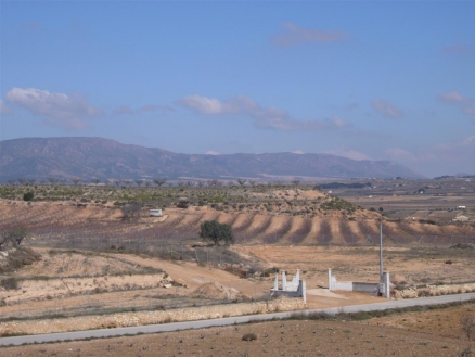 Pinoso property: Land in Alicante for sale 99749