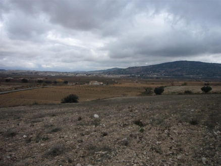 Pinoso property: Pinoso, Spain | Land for sale 99749