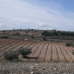 Pinoso property: Pinoso, Spain Land 99749