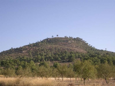 Pinoso property: Land for sale in Pinoso, Alicante 99750