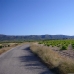 Pinoso property:  Land in Alicante 99754