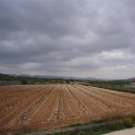 Pinoso property: Land for sale in Pinoso 99758