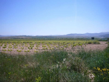 Pinoso property: Land for sale in Pinoso 99759