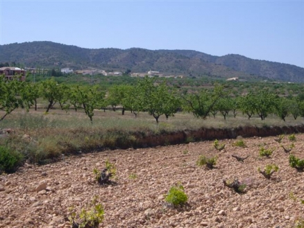 Pinoso property: Land with bedroom in Pinoso 99759