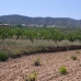 Pinoso property: bedroom Land in Pinoso, Spain 99759