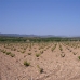 Pinoso property: bedroom Land in Alicante 99759