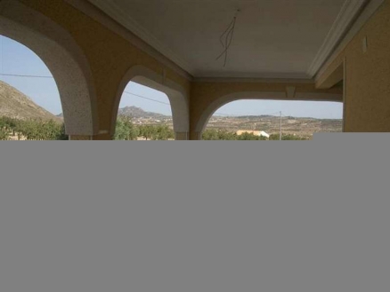 Pinoso property: Villa in Alicante for sale 99784