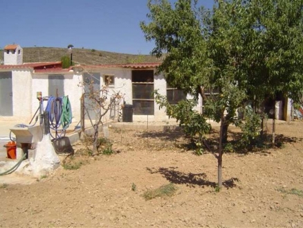 Pinoso property: House with 5 bedroom in Pinoso, Spain 99787