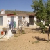 Pinoso property: 5 bedroom House in Alicante 99787