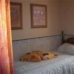 Pinoso property: 3 bedroom House in Pinoso, Spain 99789