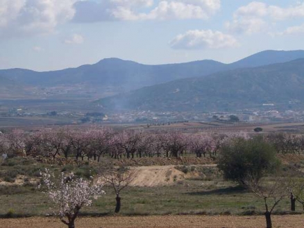 Pinoso property: Land for sale in Pinoso, Spain 99795