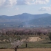 Pinoso property: Pinoso, Spain Land 99795