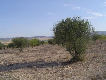 Yecla property: Land for sale in Yecla, Spain 99803