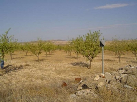 Yecla property: Murcia property | bedroom Land 99803