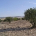 Yecla property: Yecla, Spain Land 99803