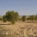 Yecla property: bedroom Land in Yecla, Spain 99803