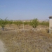 Yecla property: Land in Yecla 99803