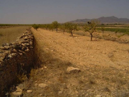 Pinoso property: Land for sale in Pinoso, Spain 99804