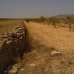 Pinoso property: Pinoso, Spain Land 99804