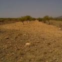 Pinoso property: Land for sale in Pinoso 99810