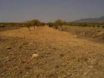 Pinoso property: Land for sale in Pinoso 99810