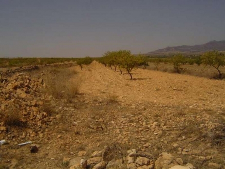 Pinoso property: Land for sale in Pinoso, Spain 99810