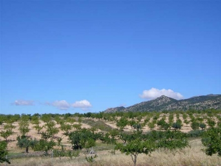 Pinoso property: Land for sale in Pinoso 99811