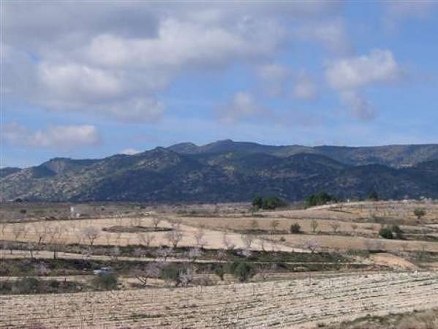 Pinoso property: Land for sale in Pinoso, Spain 99811