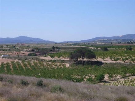 Pinoso property: Land in Alicante for sale 99811