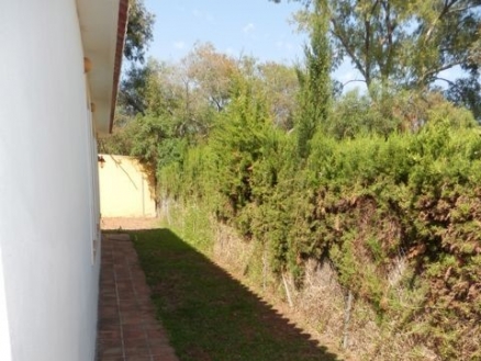 Las Chapas De Marbella property: Villa with 3 bedroom in Las Chapas De Marbella, Spain 99828