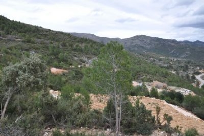 Castell De Castells property: Land for sale in Castell De Castells 150680